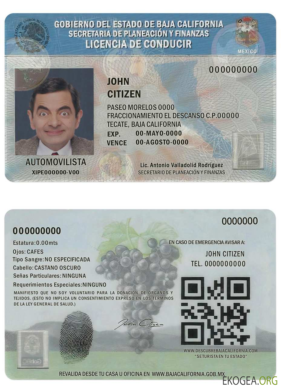 Mexico Baja California driving license